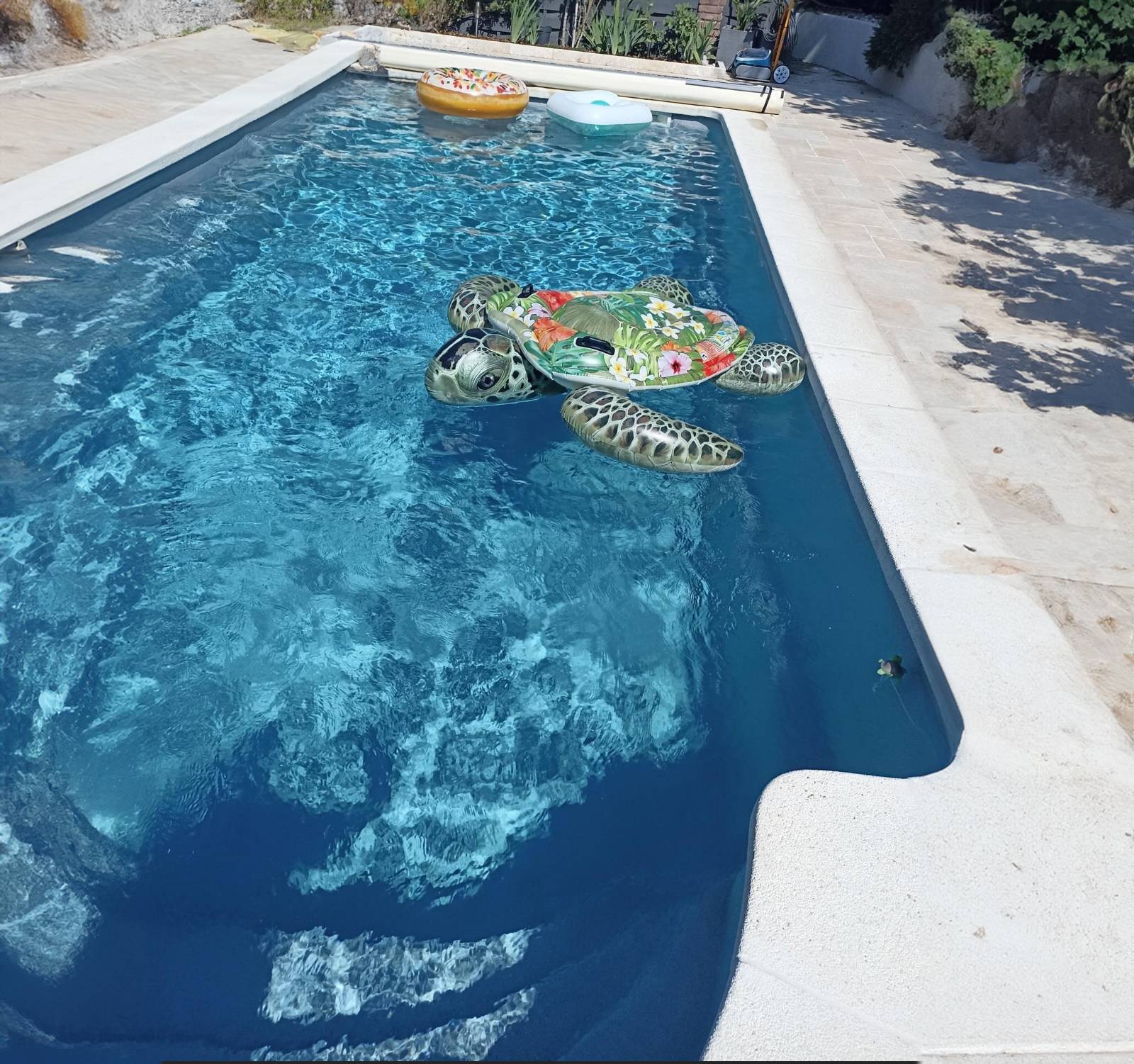 Coque de piscine en polyester gris