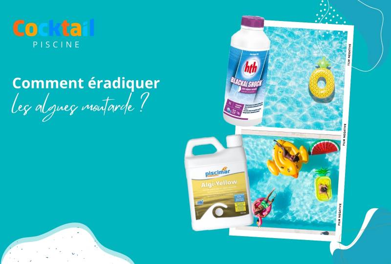 Eradiquer les algues moutarde dans votre piscine coque polyester