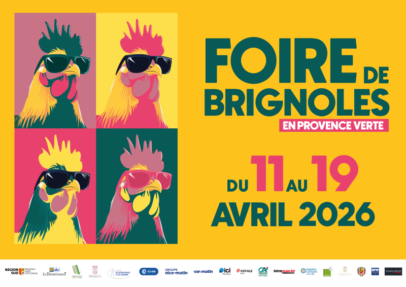 Affiche foire bringoles