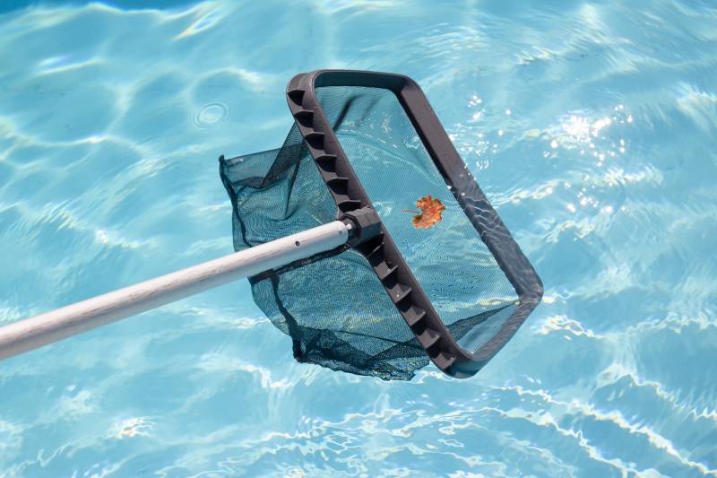 passer l'epuisettedans sa piscine pour enlever des feuilles