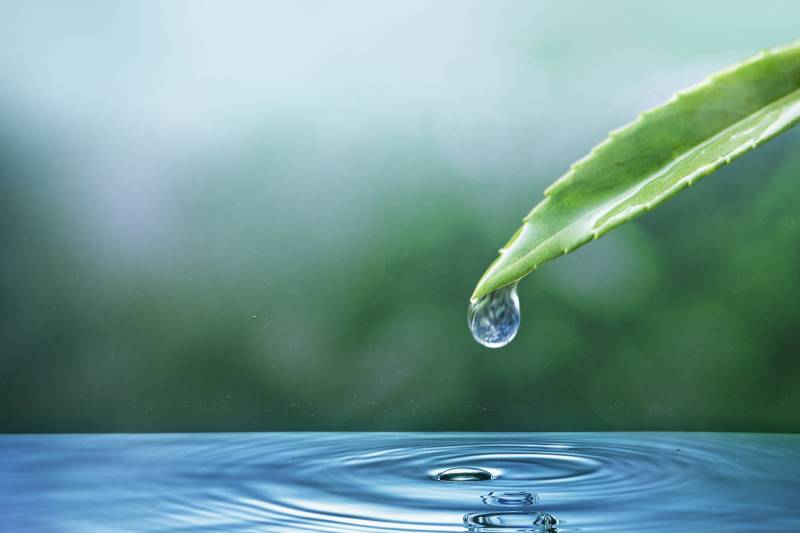 GOUTTE d'eau et aloe vera au dessus d'une piscine