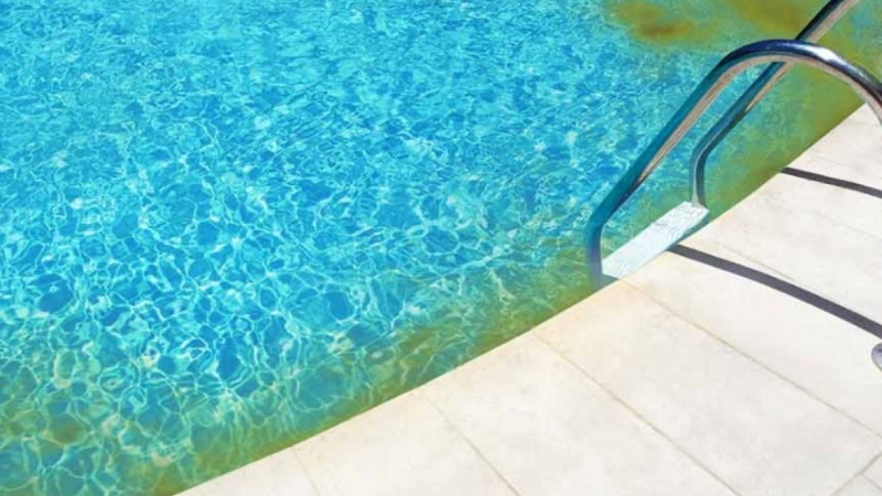 Traitement anti-algues efficace dans une piscine coque polyester : découvrez comment Cocktail Piscine 83 aide les particuliers à retrouver une eau saine à Toulon, Hyères, La Crau ou Ollioules.