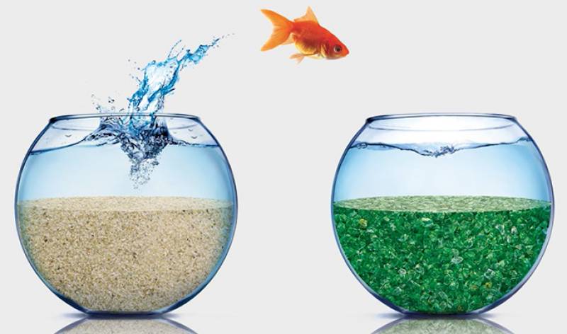 Illustration verre filtrant pour piscine avec poisson dans le Var